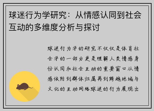 球迷行为学研究：从情感认同到社会互动的多维度分析与探讨