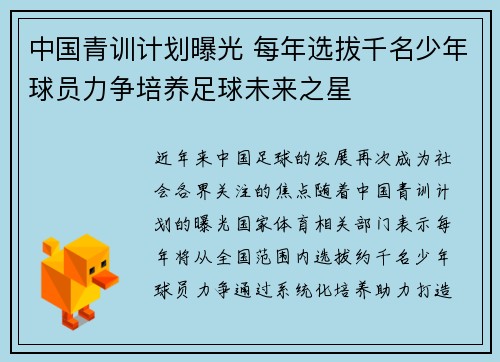 中国青训计划曝光 每年选拔千名少年球员力争培养足球未来之星